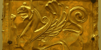 przodkowie gryfitów